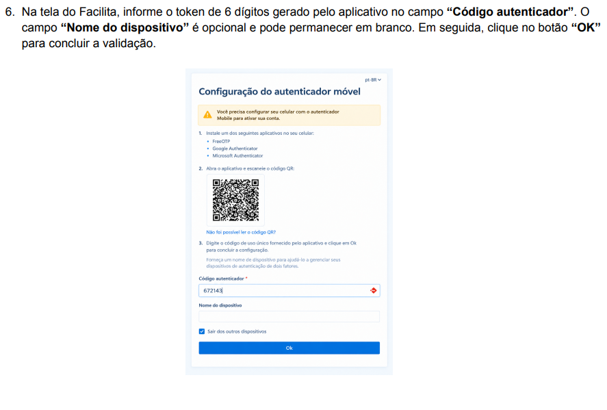 Tela do Facilita com o código autenticador preenchido e botão OK